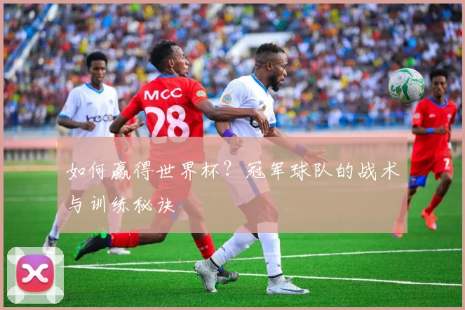 如何赢得世界杯？冠军球队的战术与训练秘诀