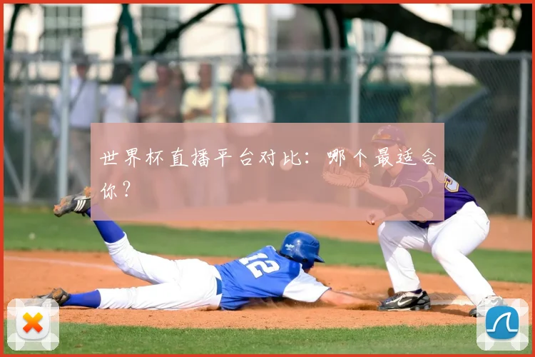 世界杯直播平台对比：哪个最适合你？