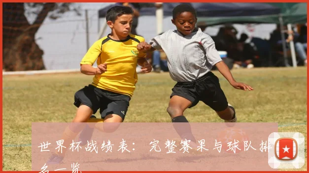 世界杯战绩表：完整赛果与球队排名一览